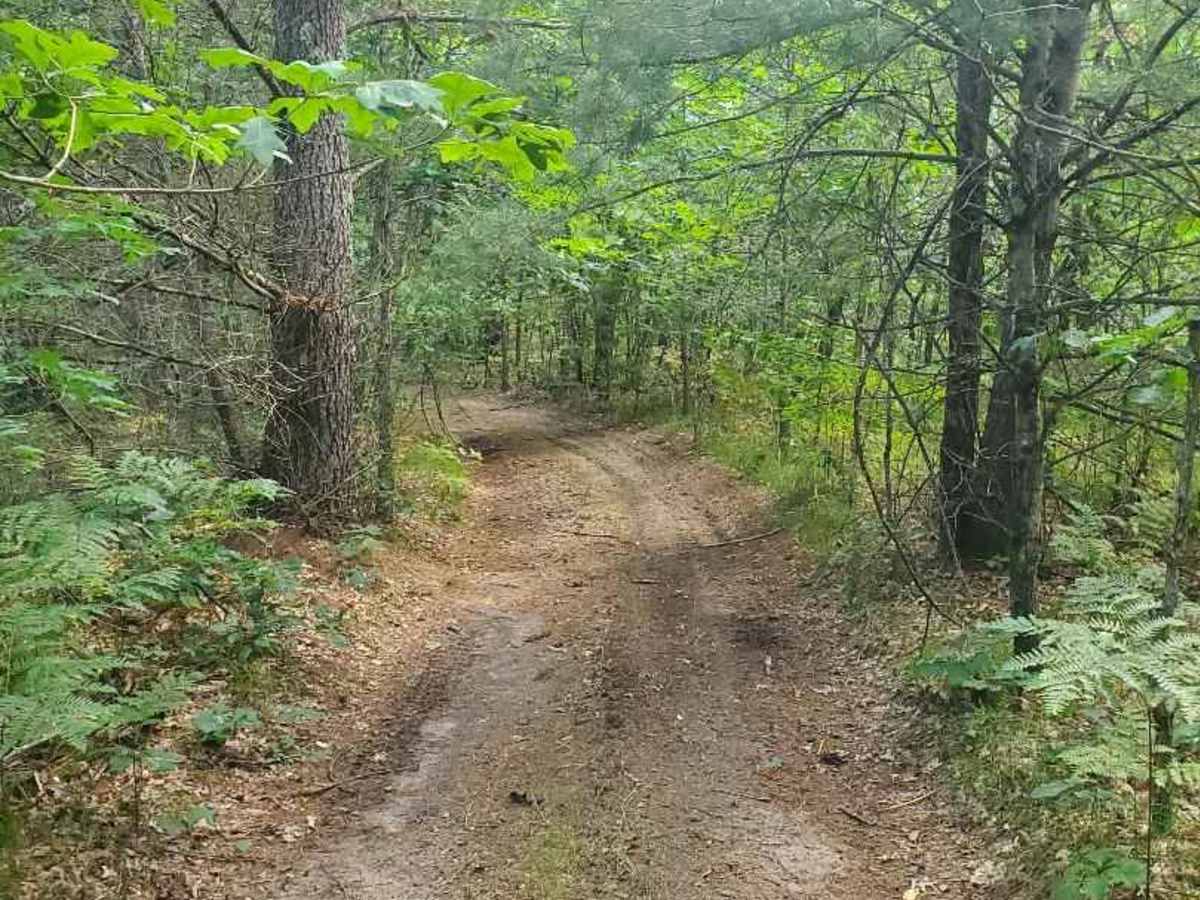 South Branch of Twin Creek Trail photo 4