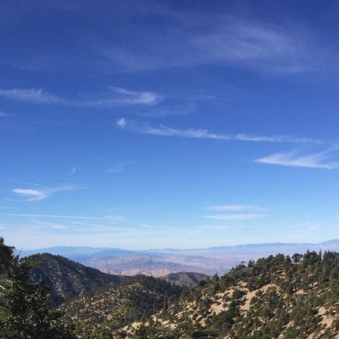 Near Pleasant View Ridge from Islip Saddle