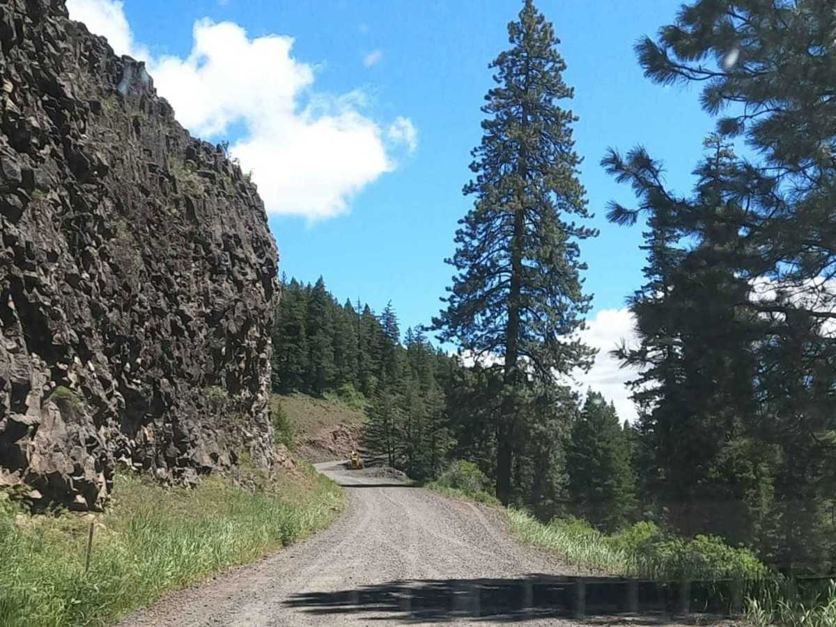 Manastash Road - NF3100 trail photo