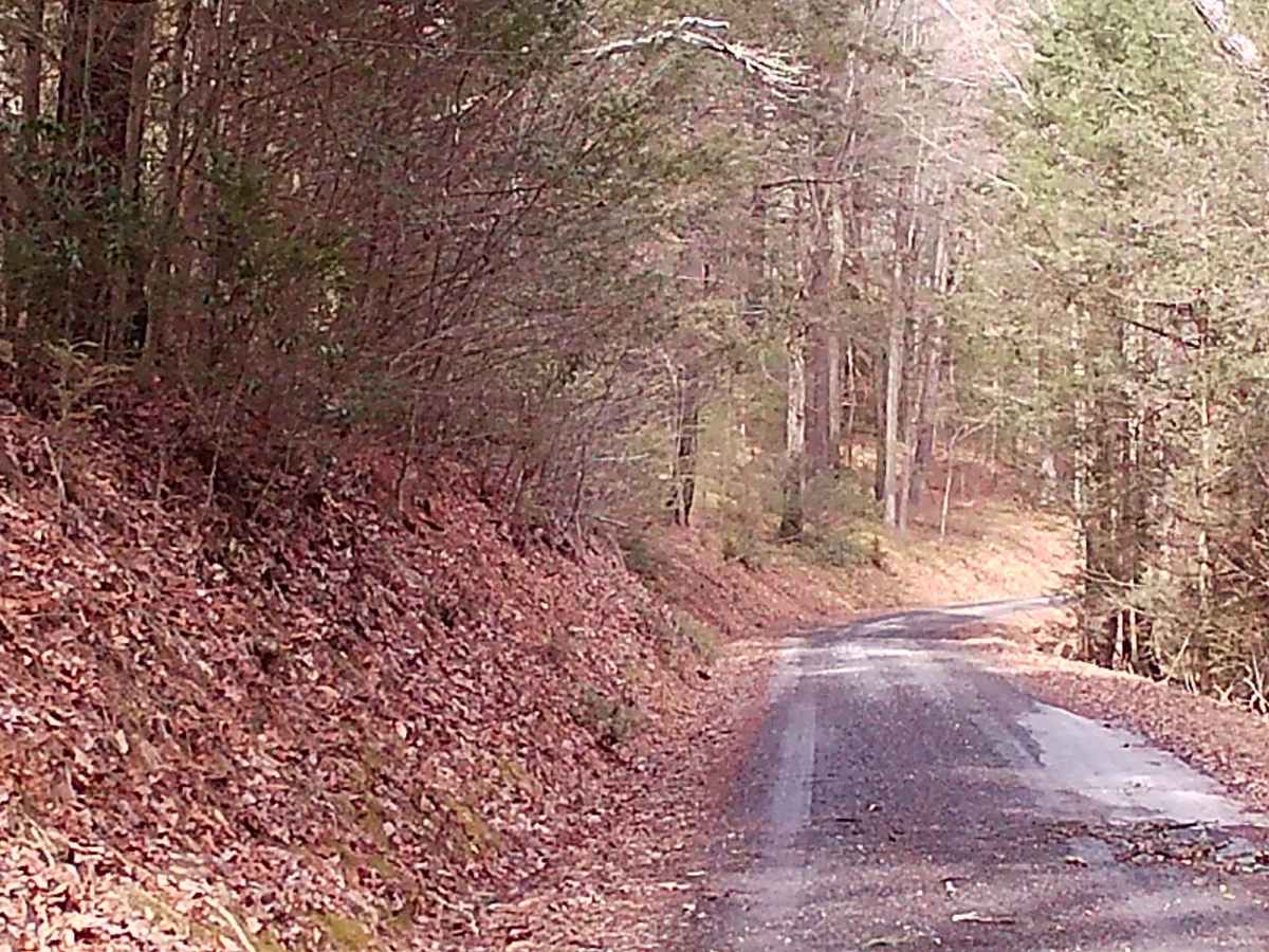 Yarison Road photo 4