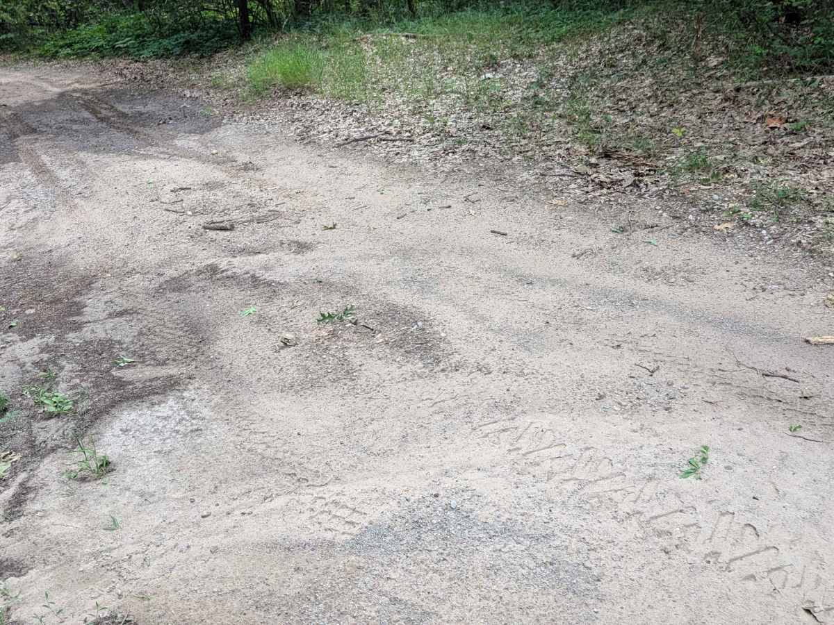 Plains Creek Trail photo 3