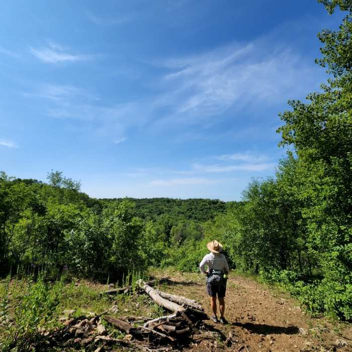 The view from the overlook. Near Walnut Trail
