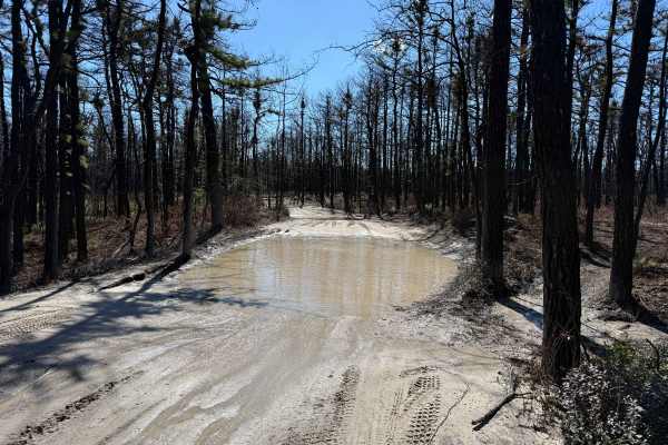 Tuckertown Railroad Extension