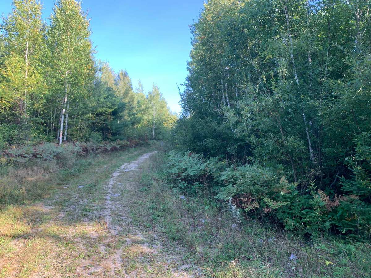 Kjostad Spur H - FS 609H trail photo