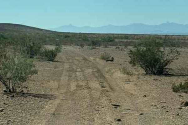 BLM PE1018
