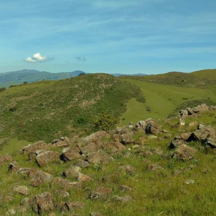 This is the view looking north across the Santa Teresa Creek Valley from high on Rocky Ridge Trail. The East Bay Diablo Range stands in the distance. Near Rocky Ridge Trail