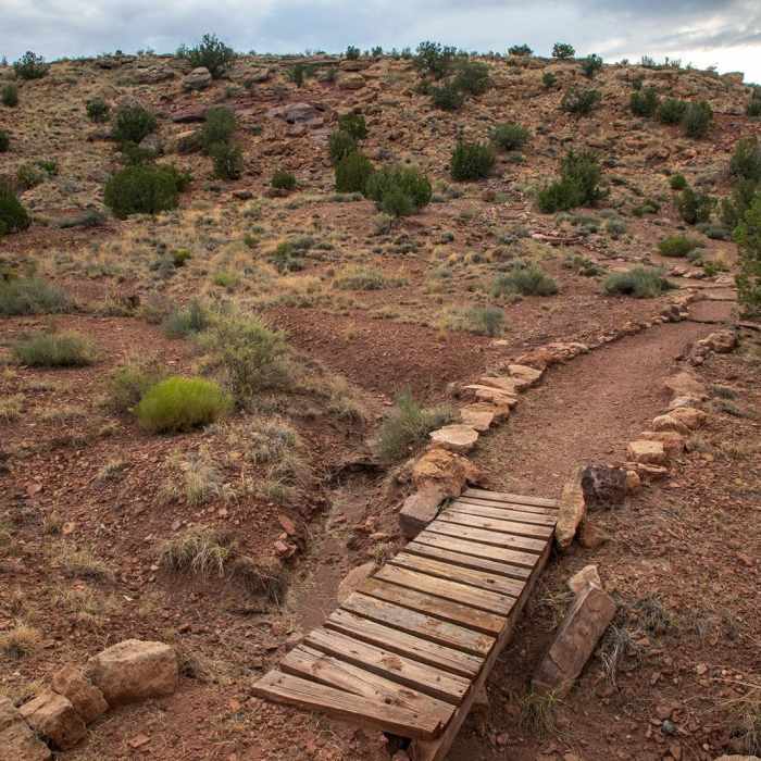 Near Buffalo Near Buffalo