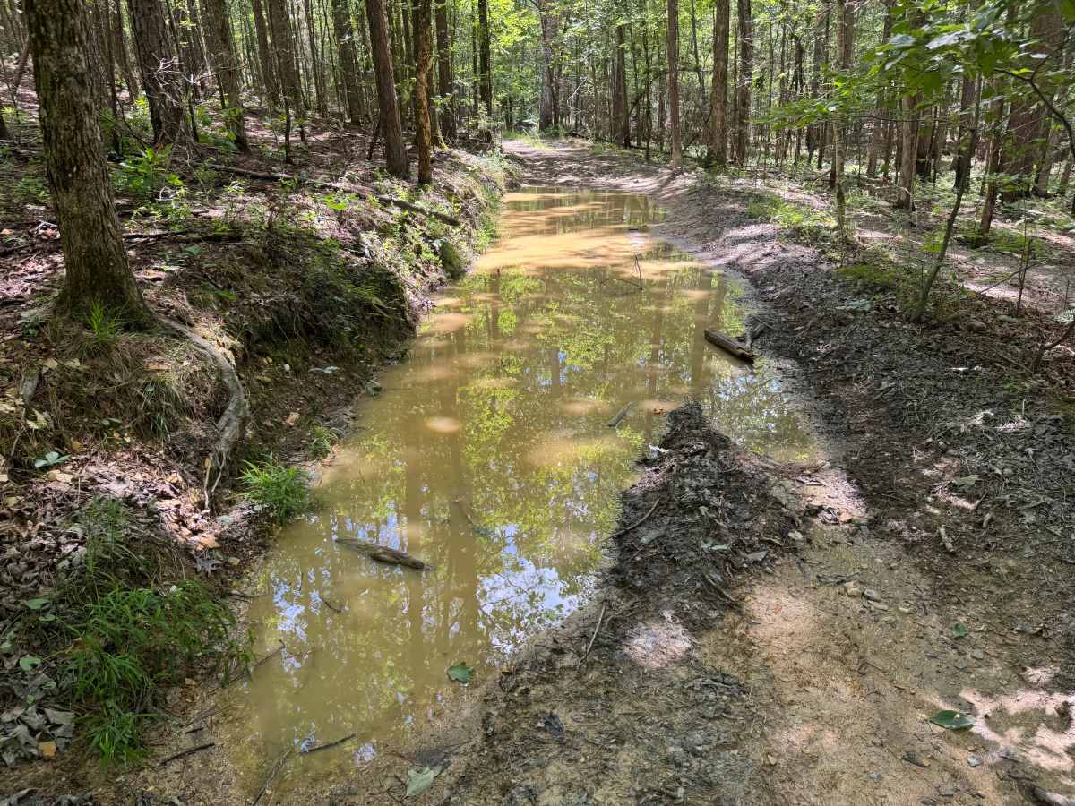Shirley Creek photo 4