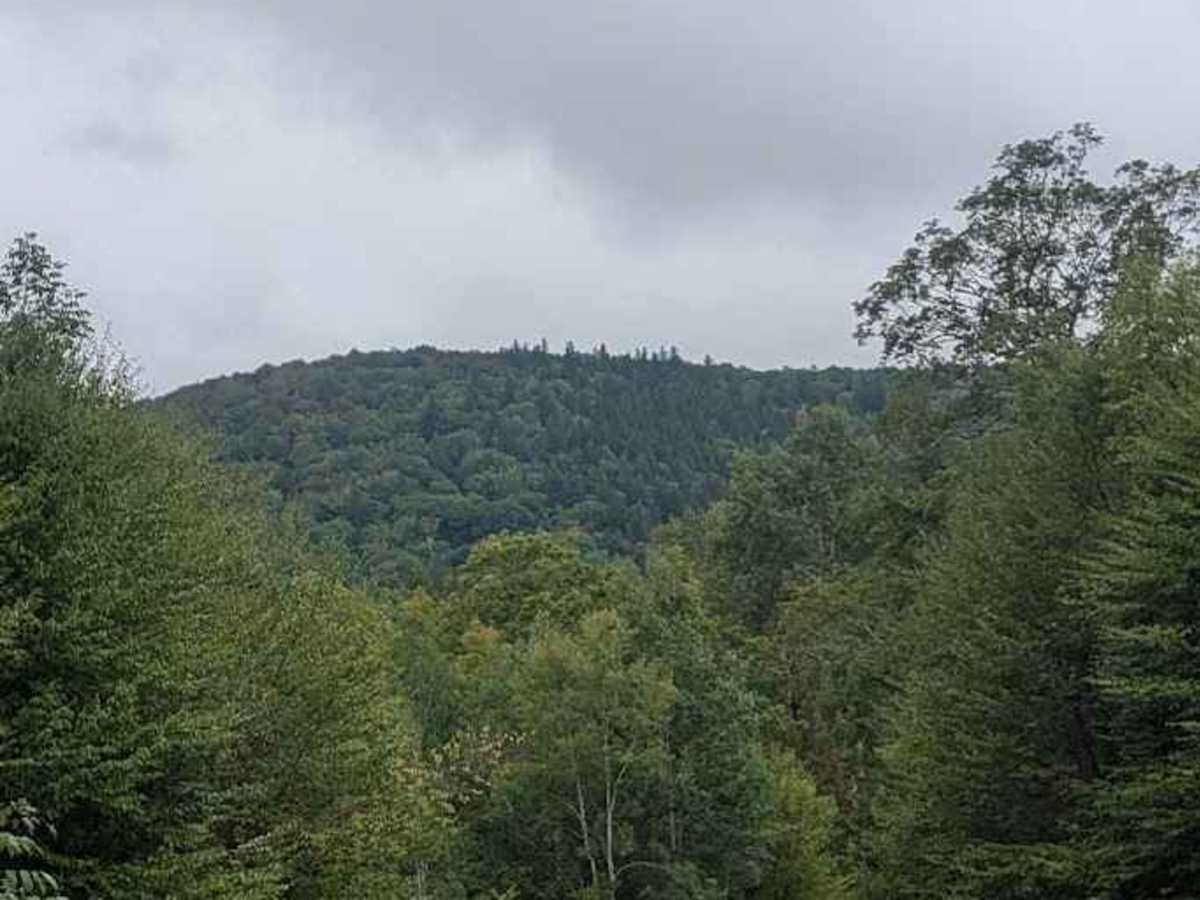 Narrows Mountain Trail photo 2