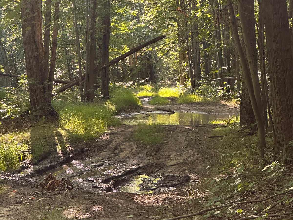 Strief Cutover  photo 5
