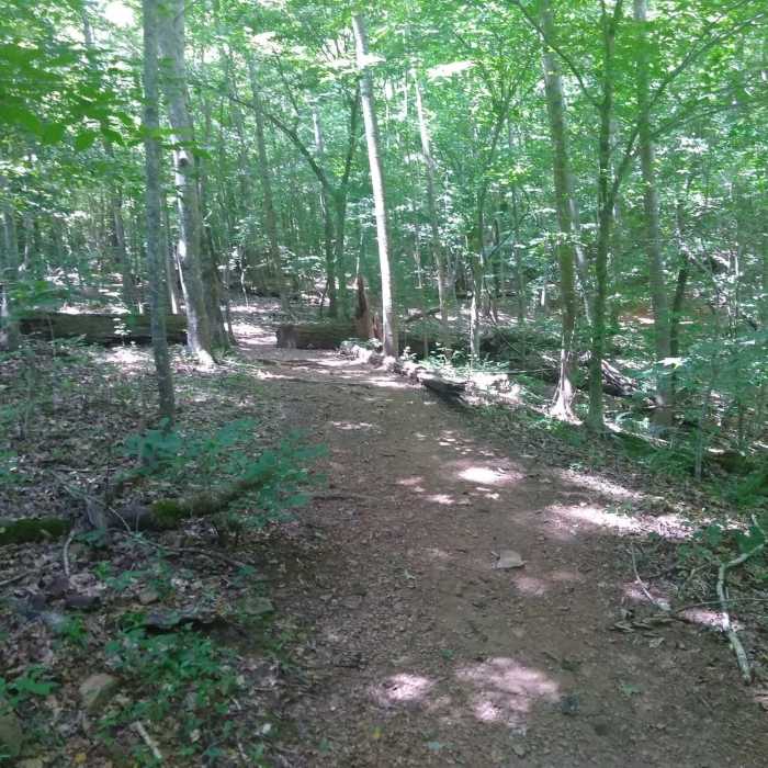 Near Brumley Nature Preserve North