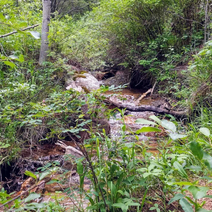 Near St. Mary Falls Trail (#624)