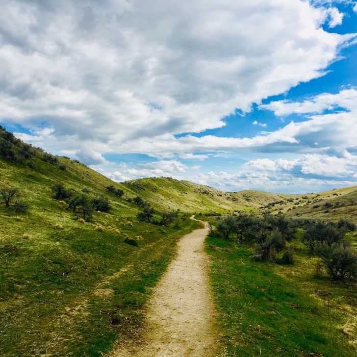 Near Harrison Hollow Trail