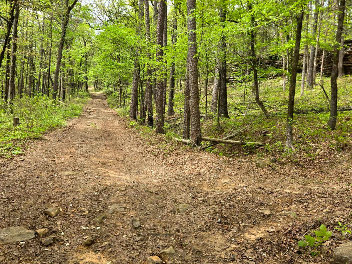 Graham Road photo 3