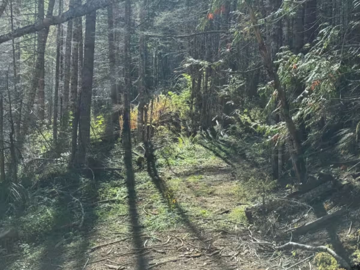Klinger Road - FS 2602 photo 6