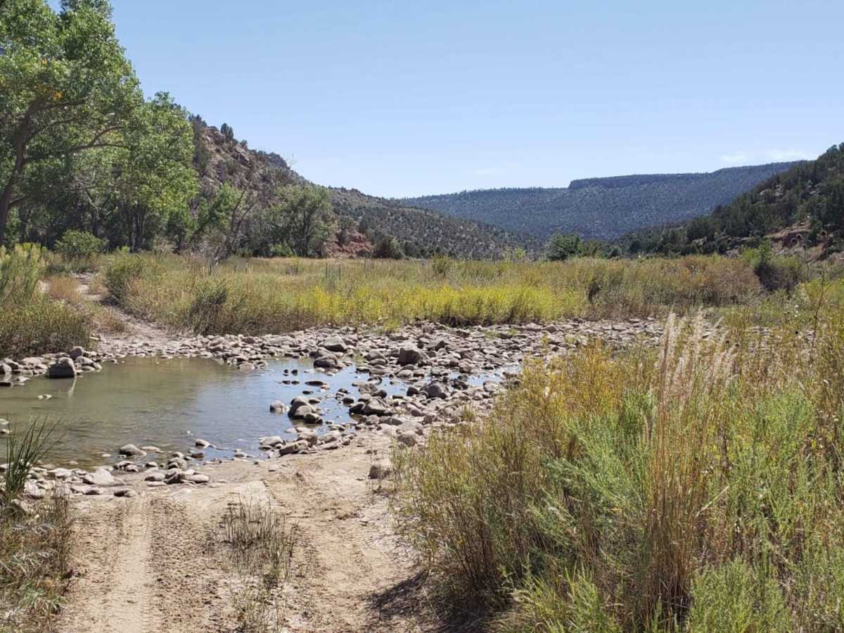 Mills Canyon Trail photo 2