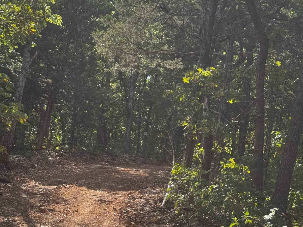 Main Trail  photo 5