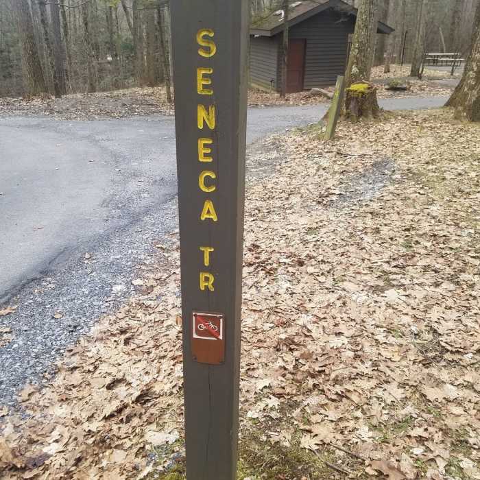 Near Lake Loop Trail