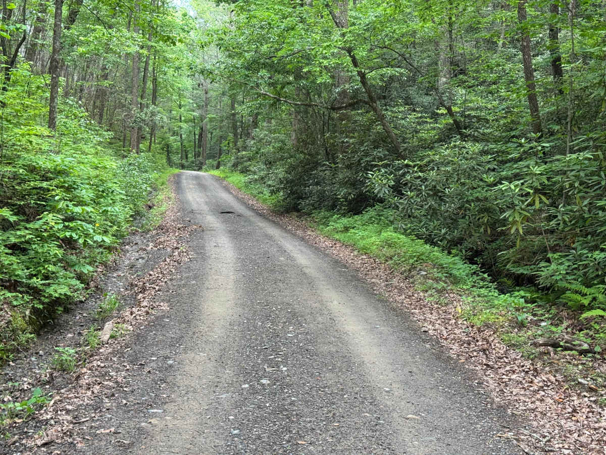 Joe Brown Highway trail photo
