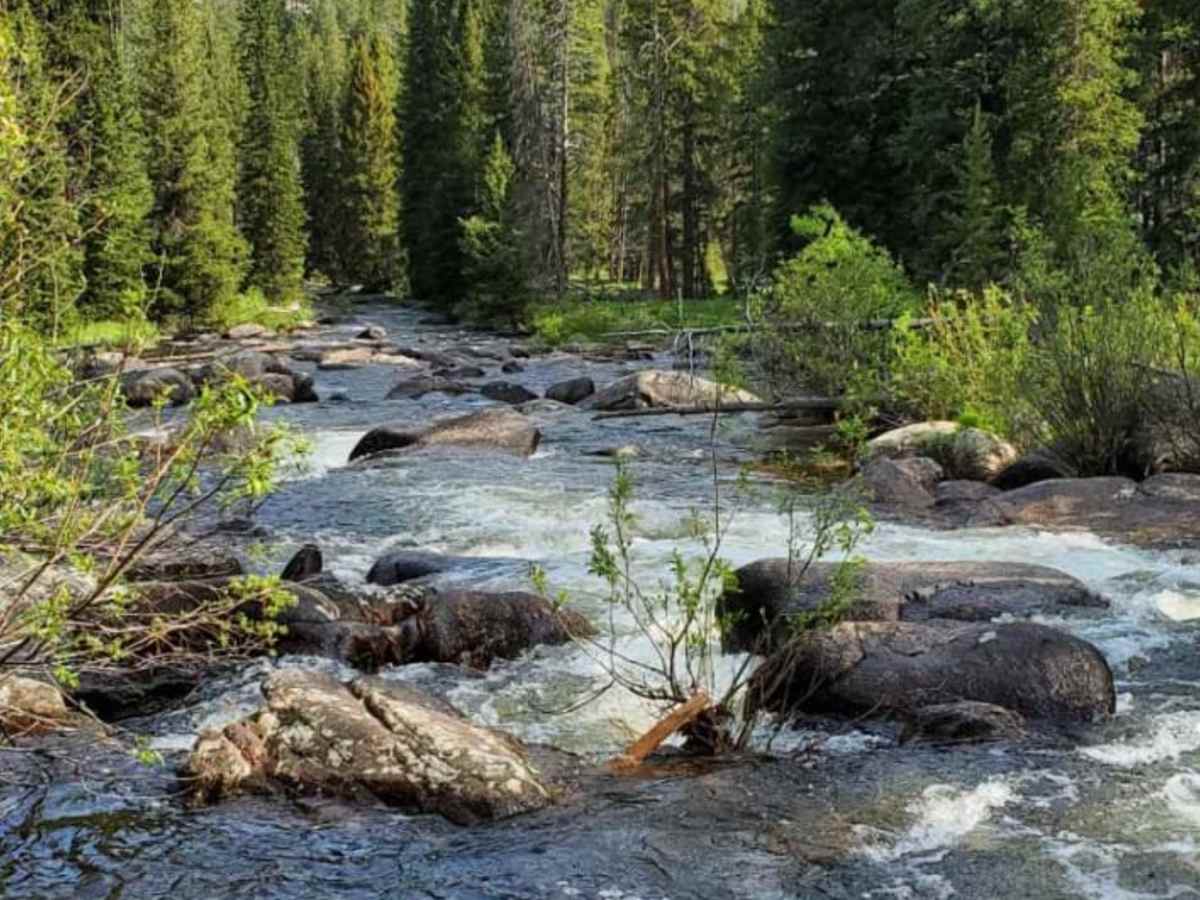 Big Goose/Game Creek photo 2