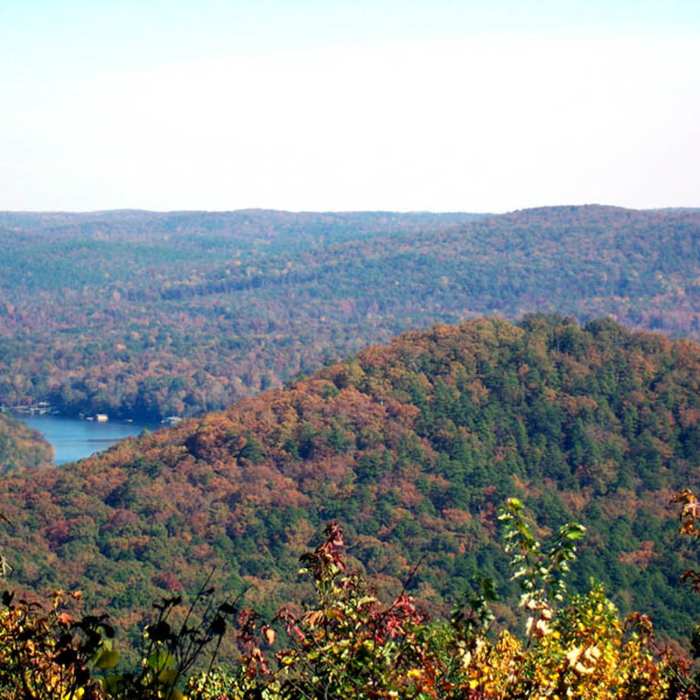 Near Morrow Mountain