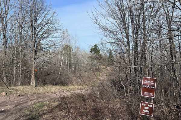 Trout Brook Trail