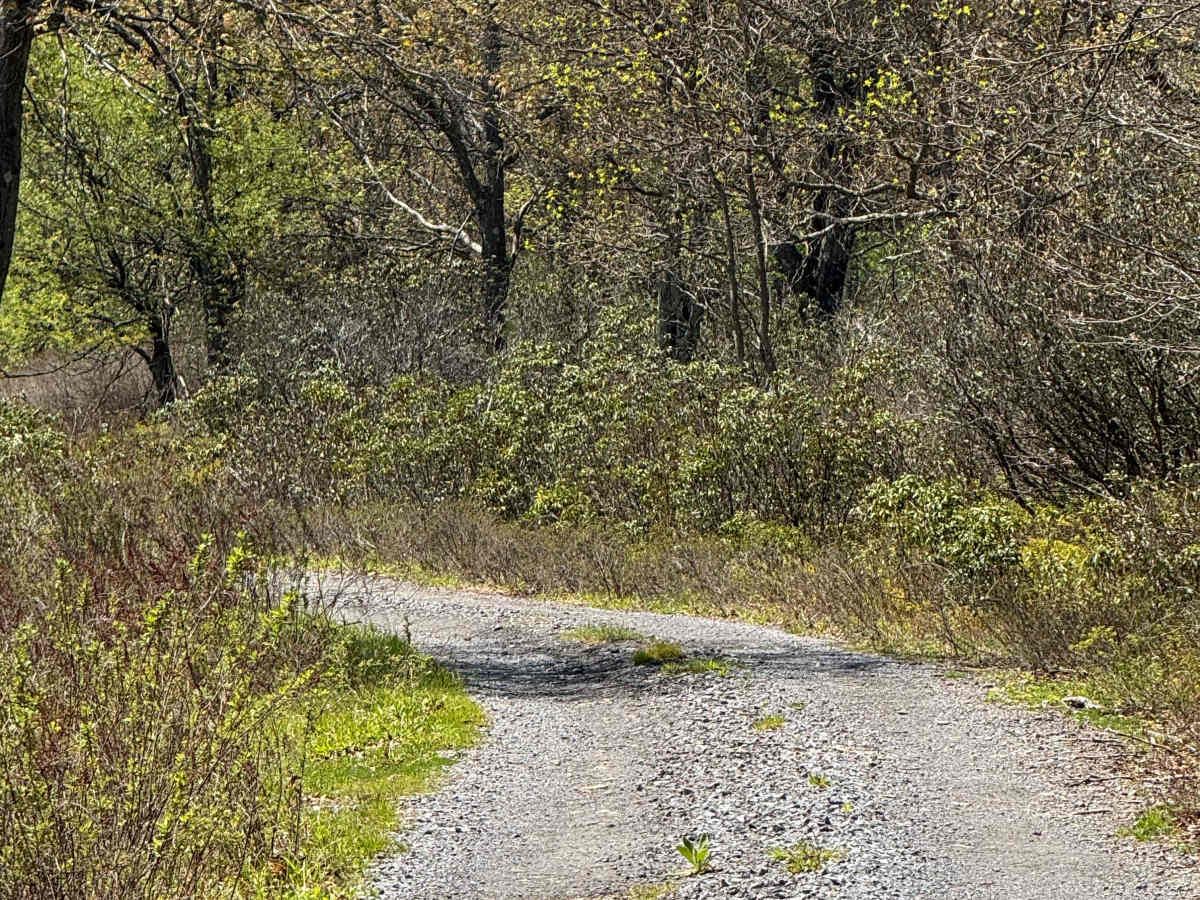 Fisher Road photo 3