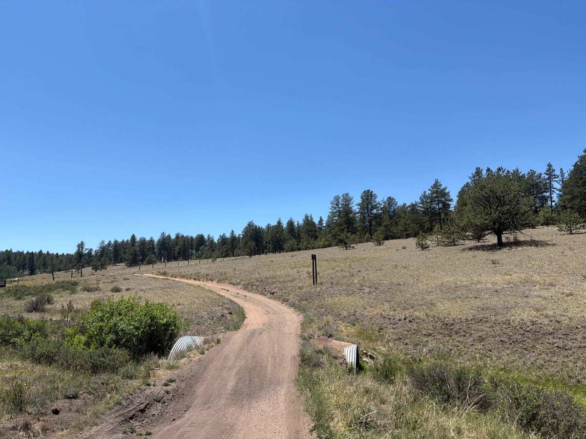 Burma Shave Road - FS 242 photo 6