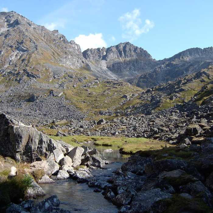 Near Reed Lakes Trail Near Reed Lakes Trail