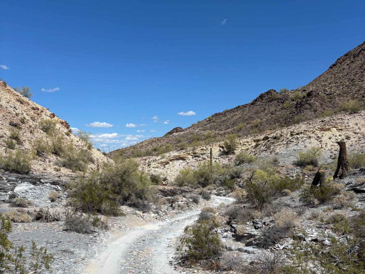 BLM 0130 photo 4