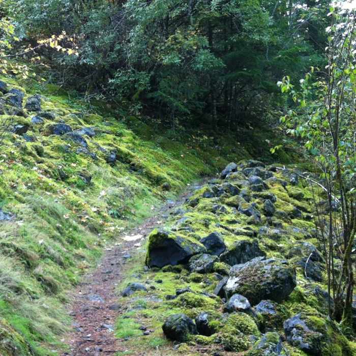 Near Pacific Crest Falls Hike via Herman Bridge Trail