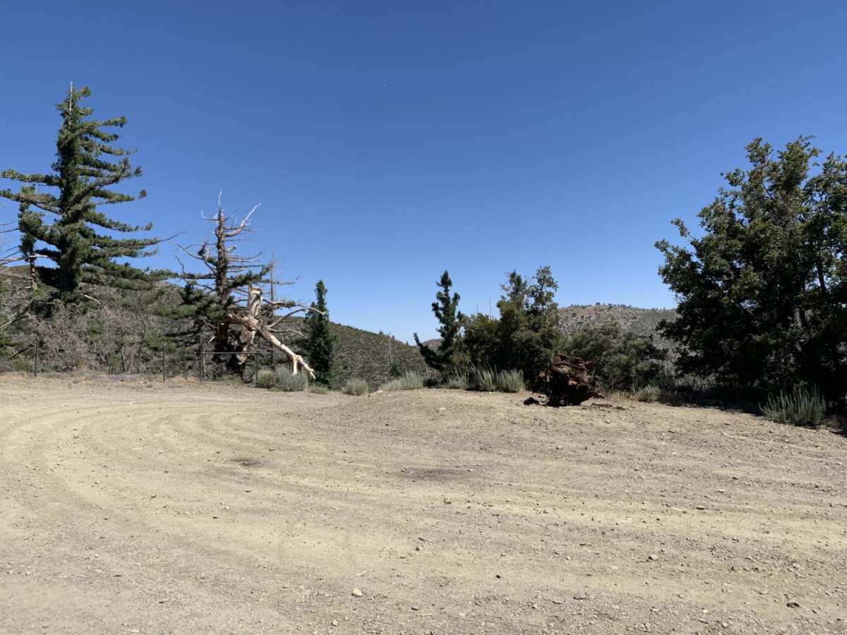 Gobblers Knob Spur A photo 6