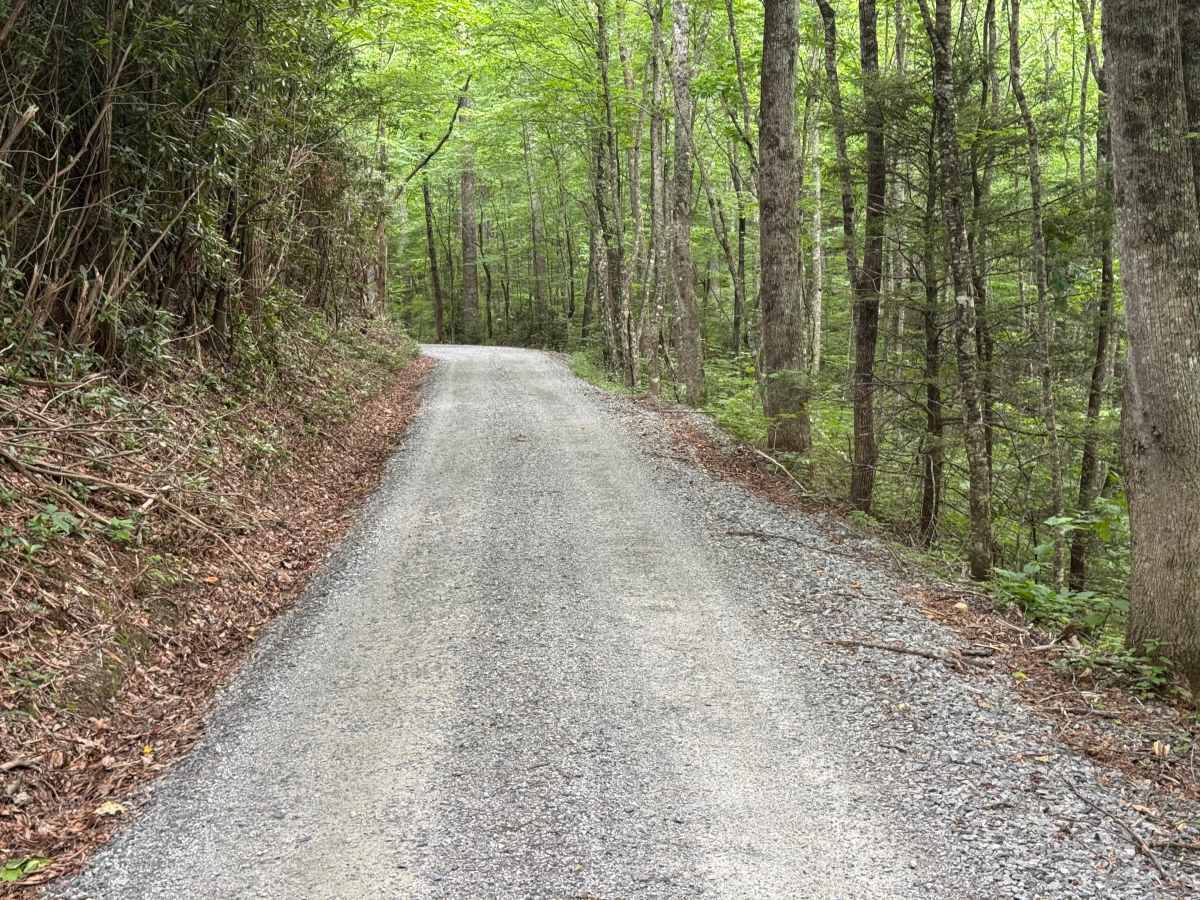 Cove Creek Road - FS 225 photo 3