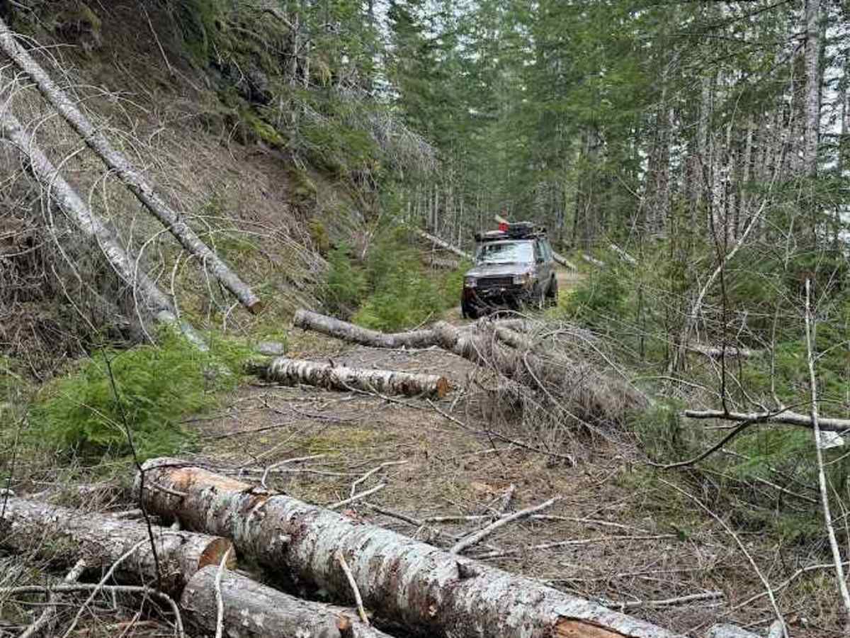 FS 2343 trail photo