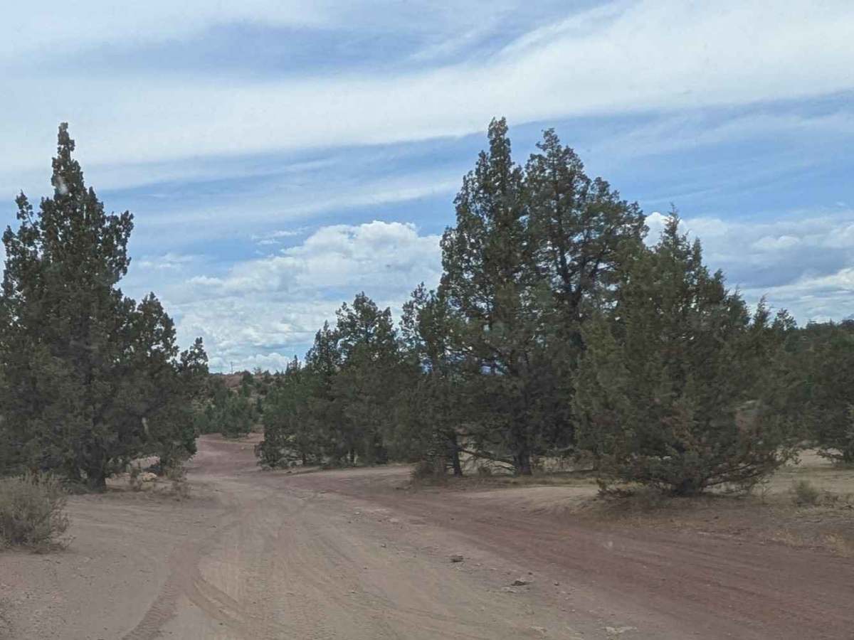 Cline Buttes OHV Trail 27 photo 3