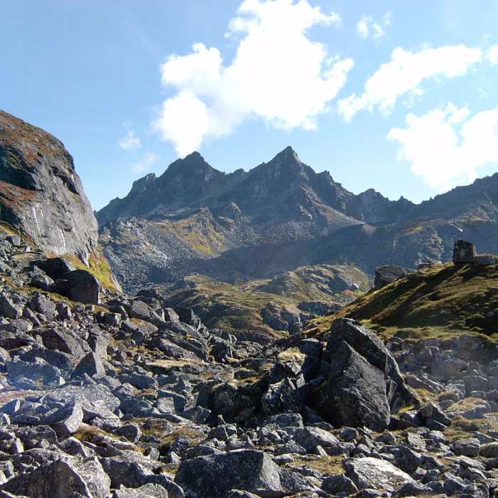 Near Reed Lakes Trail Near Reed Lakes Trail