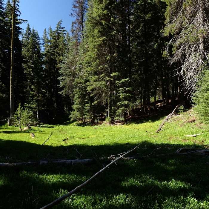 Near Mountain Lakes Loop