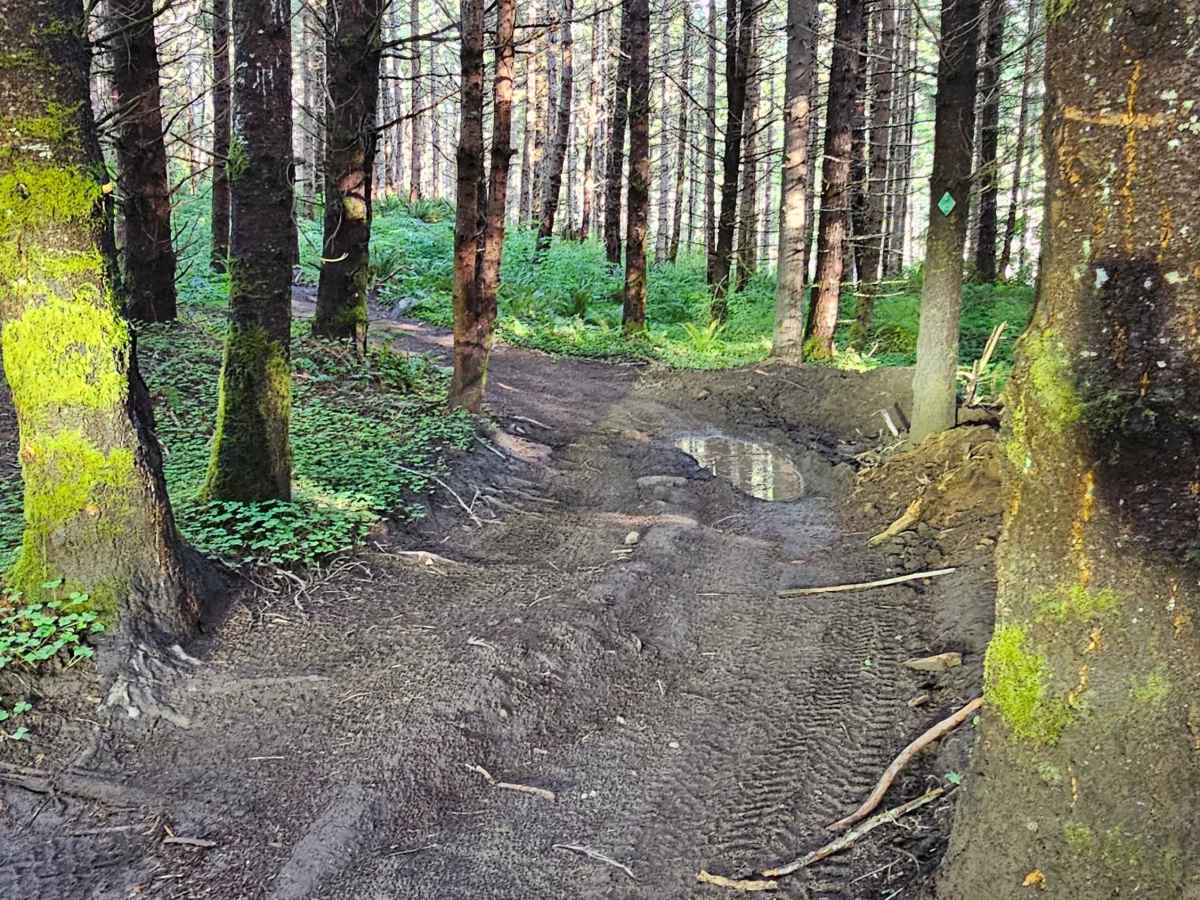 Inner Alder loop photo 5