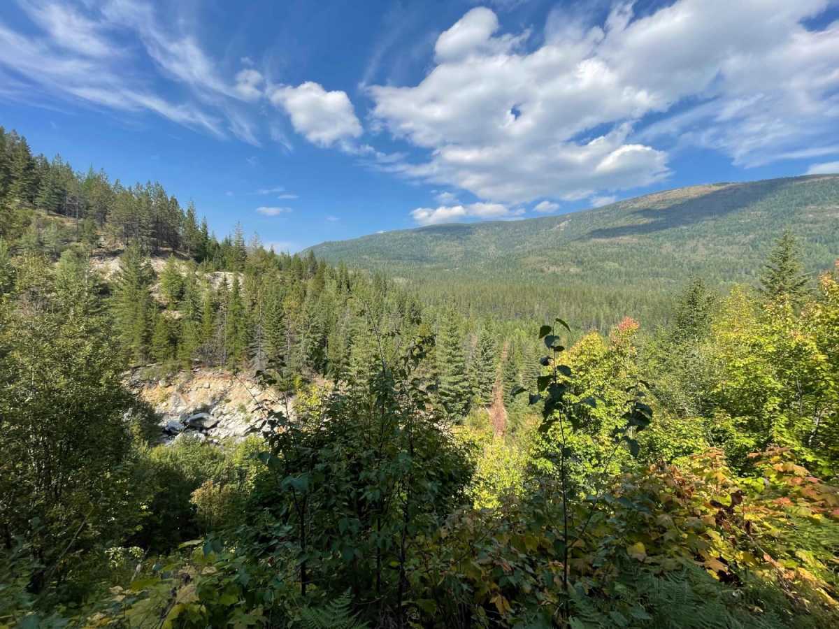 Jeru Creek Loop trail photo