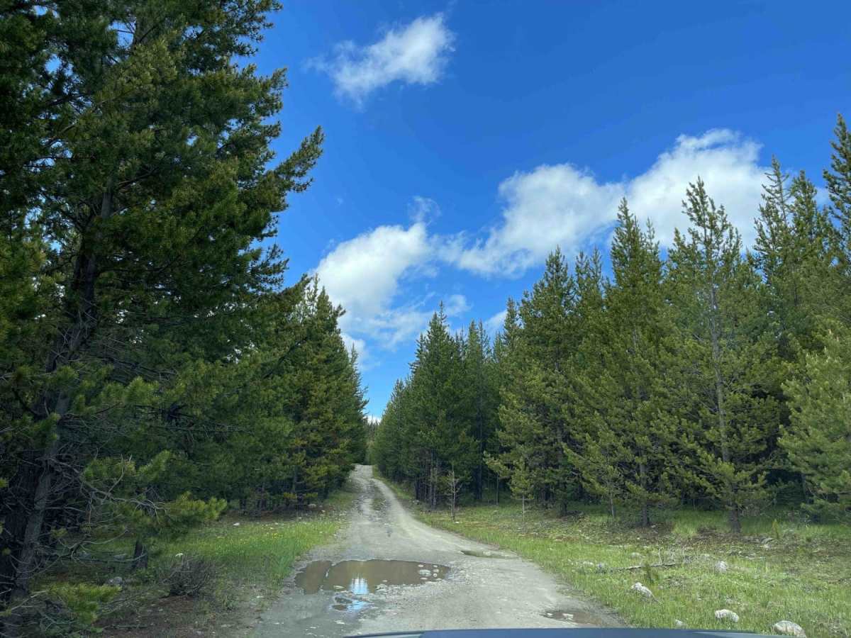Bob Lake photo 5