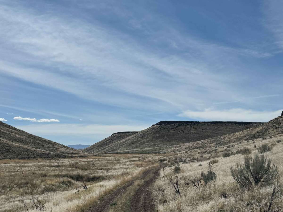 Desert Ranch and Reservoir photo 6