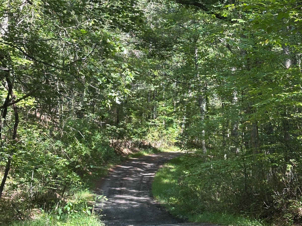 Range Road trail photo