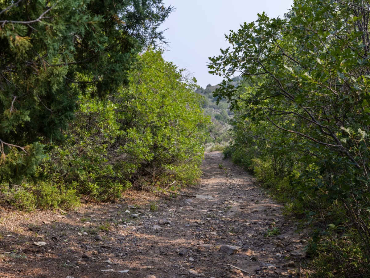 Meadow Gulch Trail photo 4