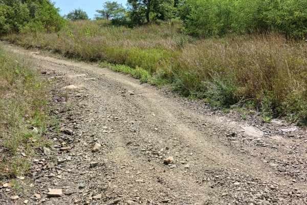 Little Buck Hill - Rock Run Recreation Area
