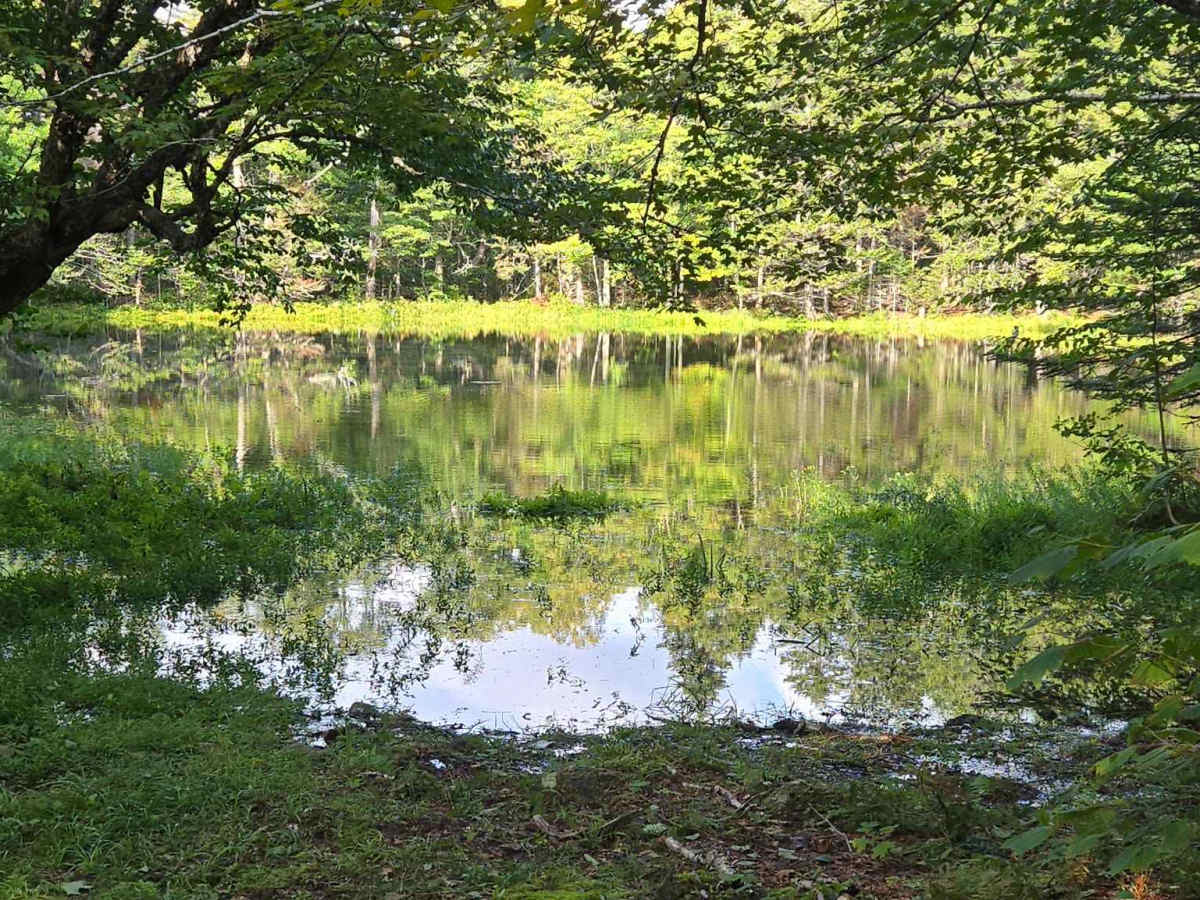 Two Lakes photo 2