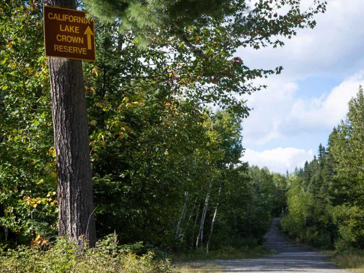 Whitebirch Road - Trail 507 photo 2
