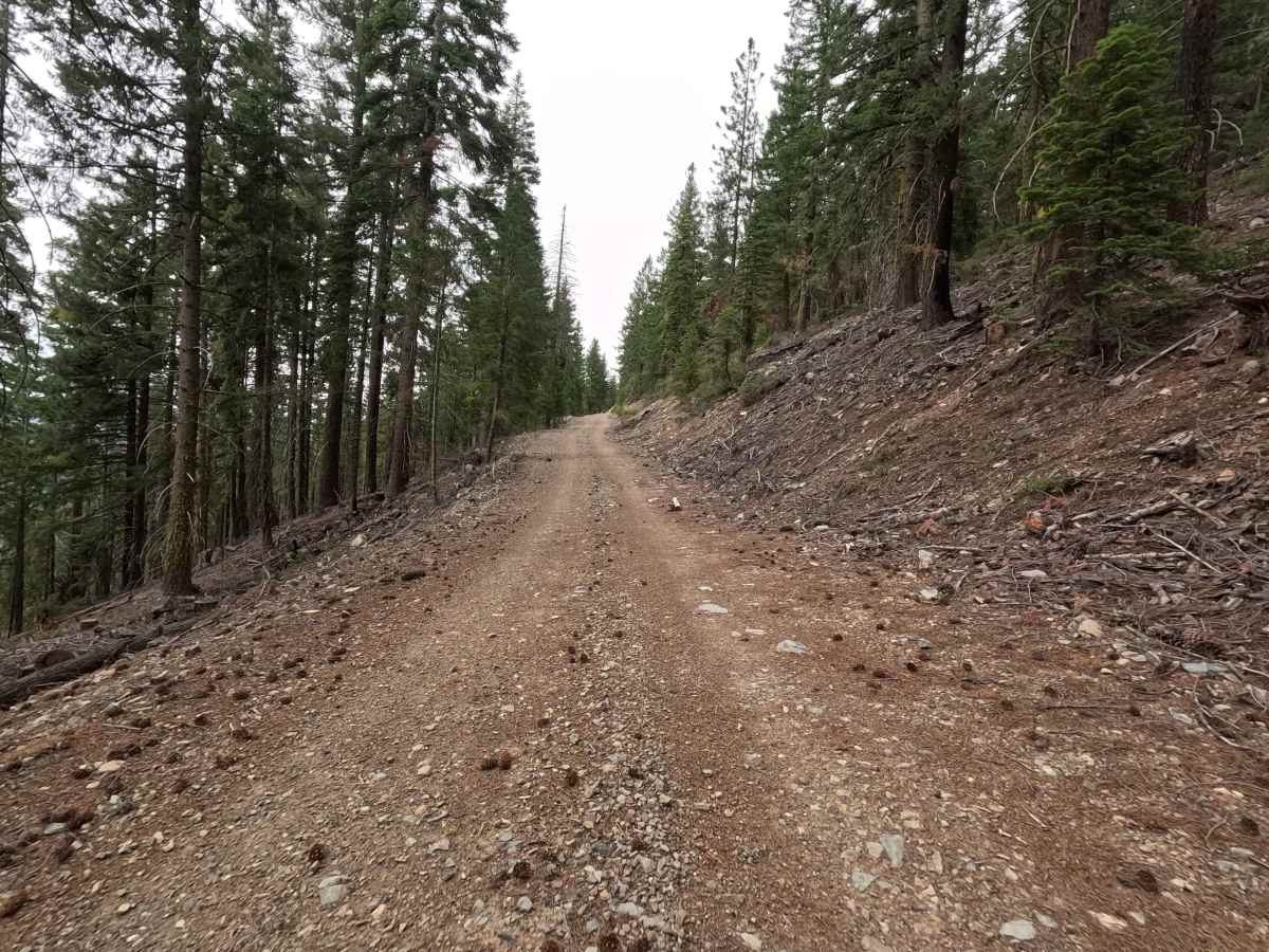 Cooper Meadow Spur A - FS 40N67A photo 5