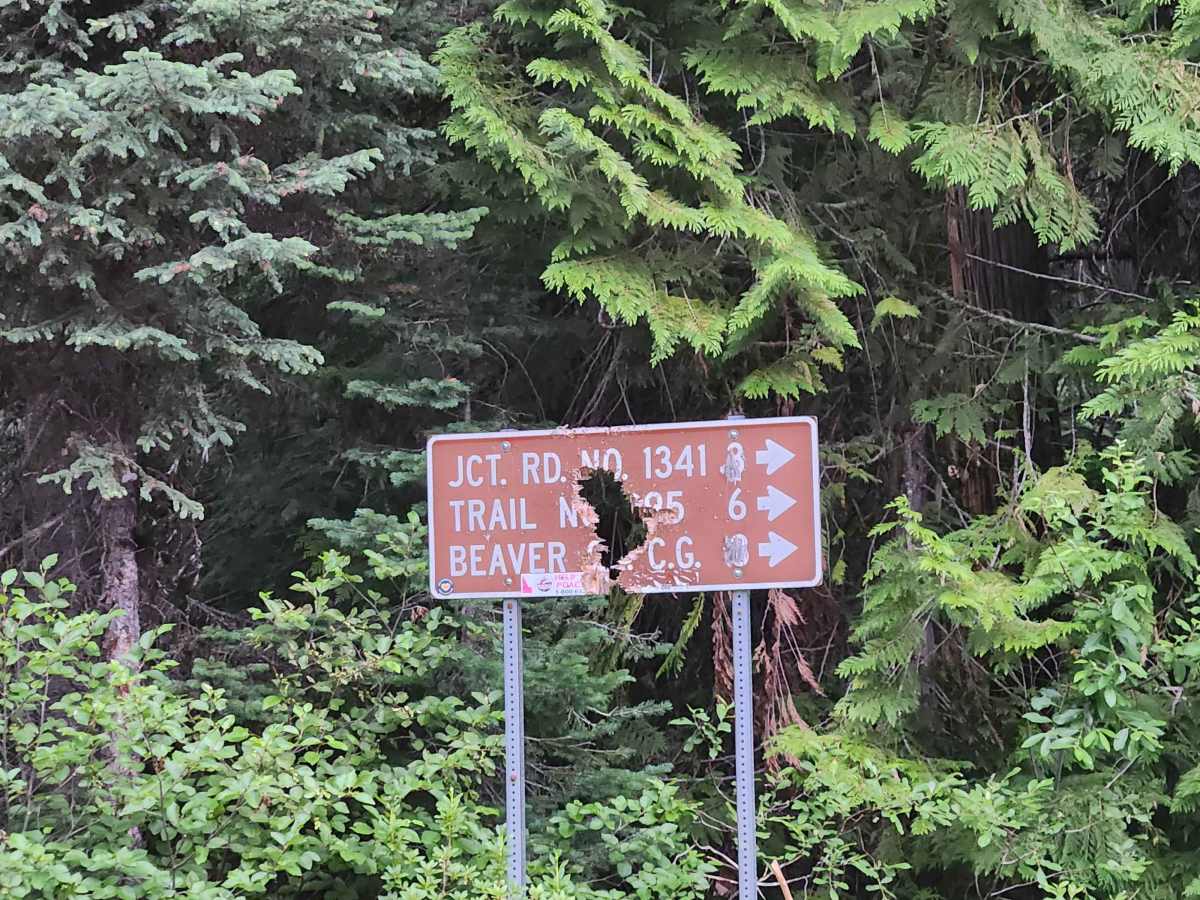 Gold Beaver Creek photo 4