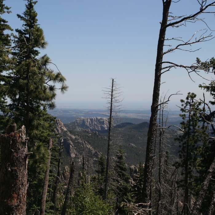 Gorgeous views into the Black Elk Nature Area peek through the trees along the Harney Peak Loop. Near Black Elk Peak Loop