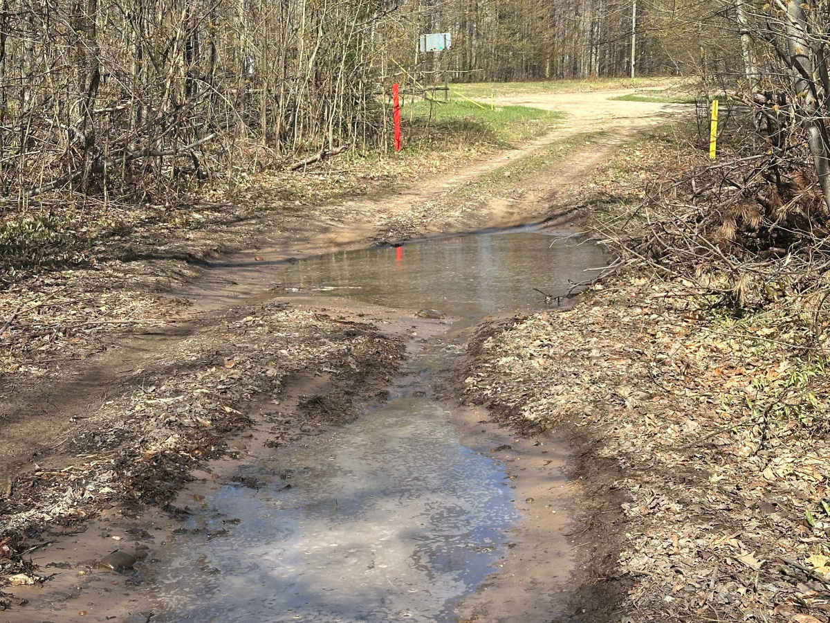 Blue Bear Trail trail photo
